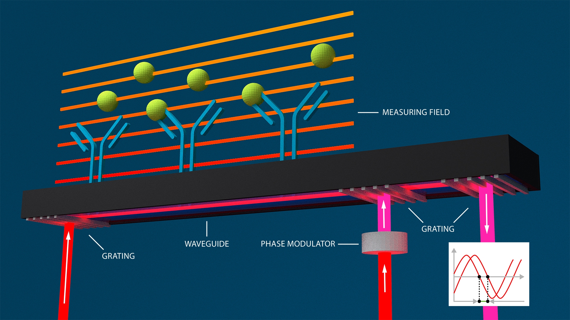粒子法 粒子法】Vol.22 粒子法の可変解像度による計算コスト削減効果 - 構造